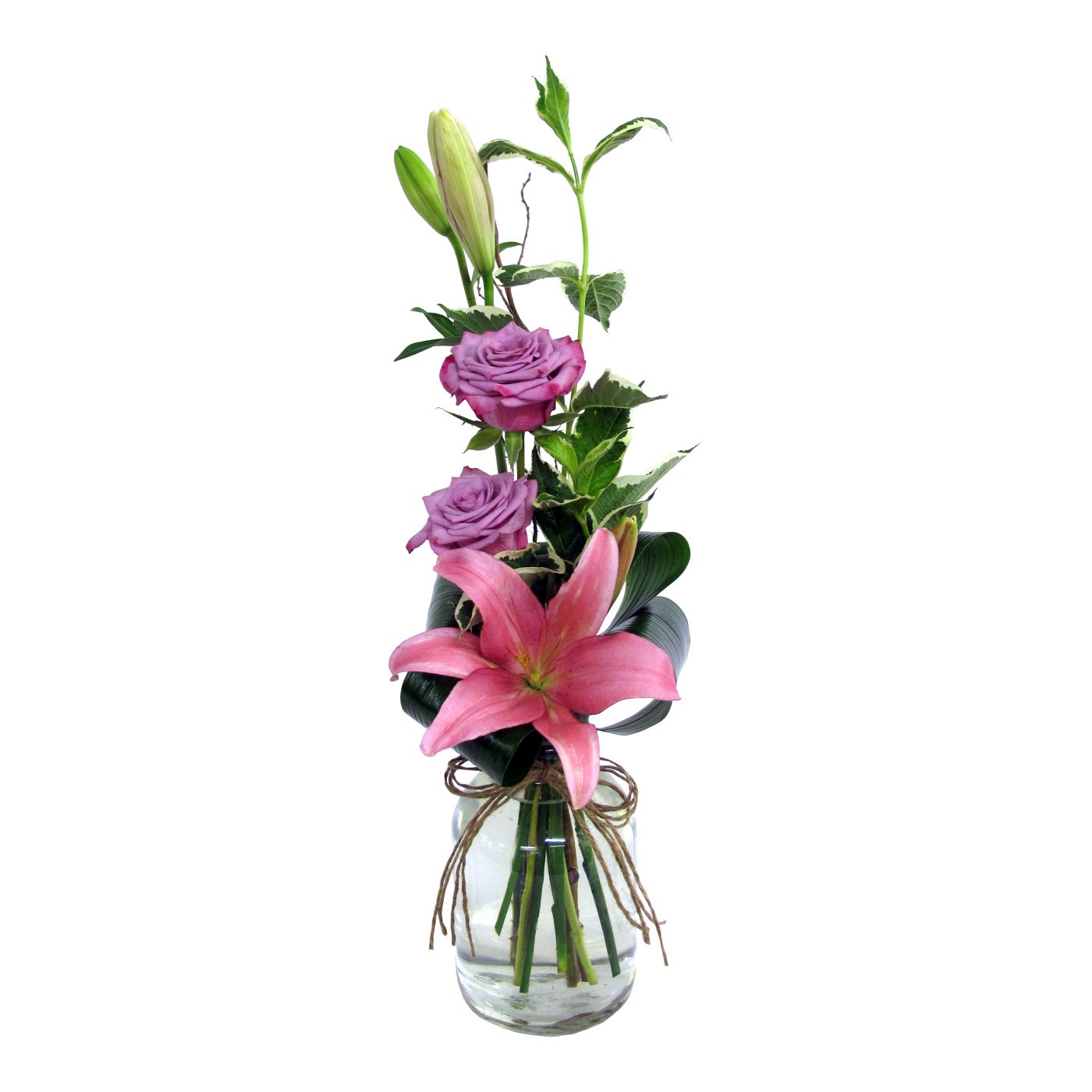 product image for Starlight